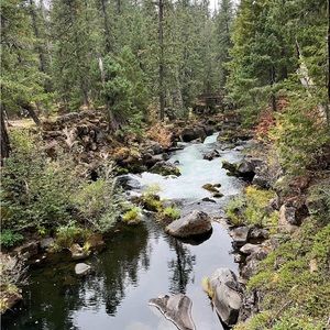 Meet your Posher, Parker